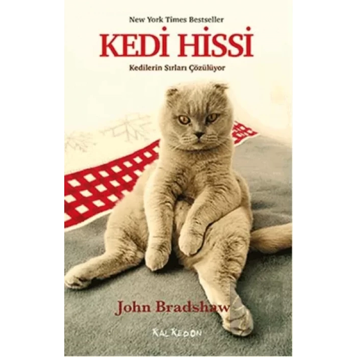 Kedi Hissi - Kedilerin Sırları Çözülüyor