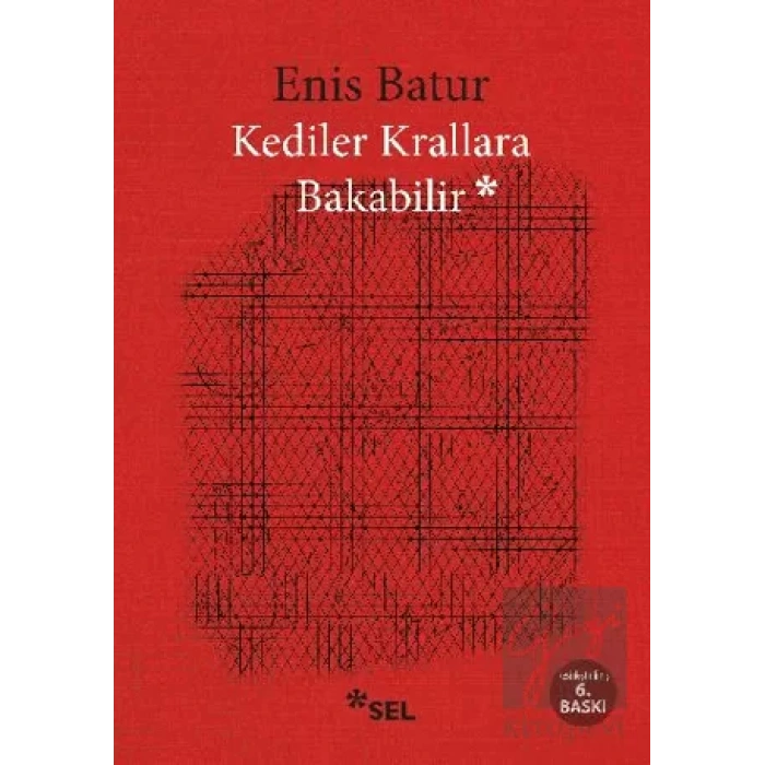 Kediler Krallara Bakabilir