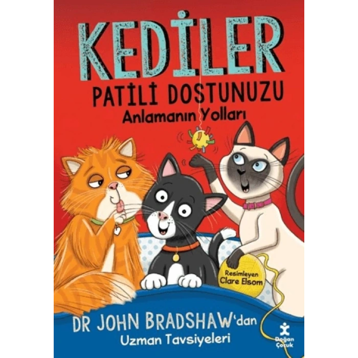 Kediler - Patili Dostunuzu Anlamanın Yolları