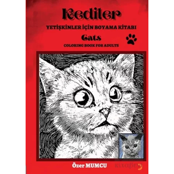 Kediler – Yetişkinler için Boyama Kitabı