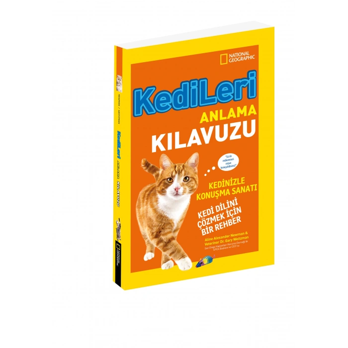 Kedileri Anlama Kılavuzu