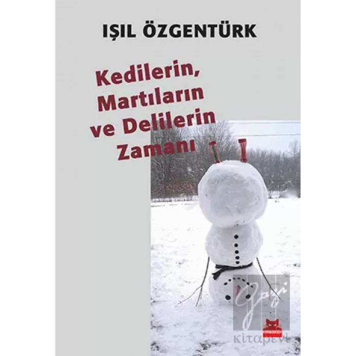 Kedilerin, Martıların ve Delilerin Zamanı