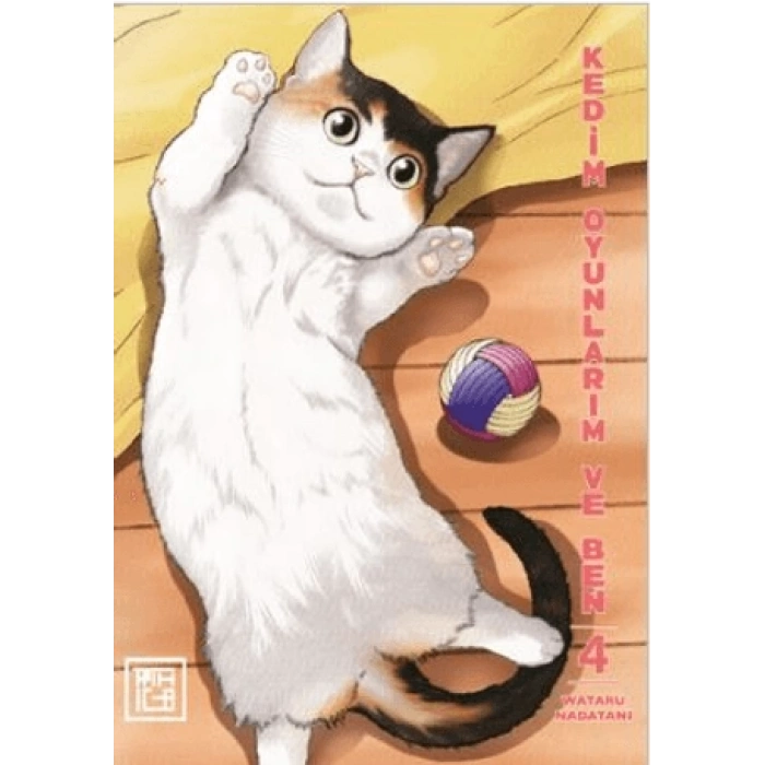 Kedim Oyunlarım ve Ben 4