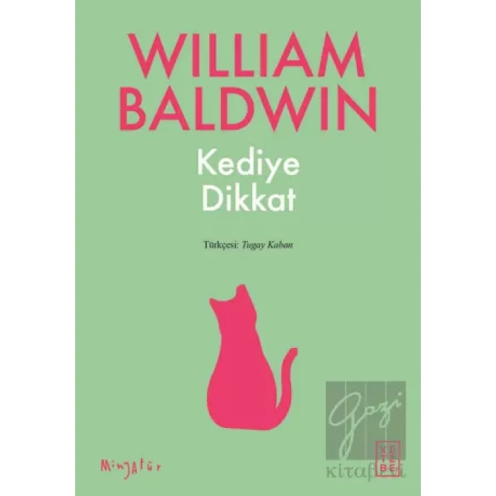 Kediye Dikkat