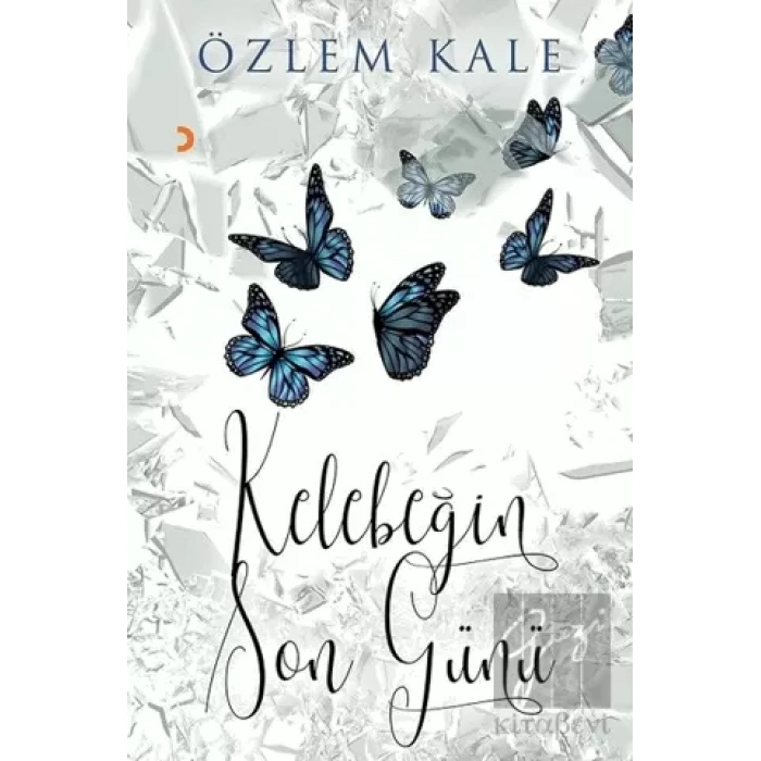 Kelebeğin Son Günü