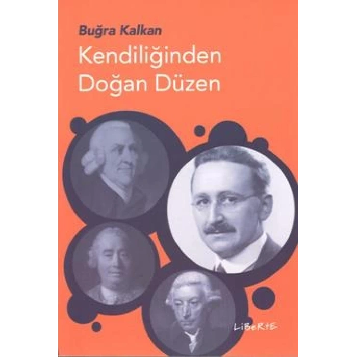 Kendiliğinden Doğan Düzen
