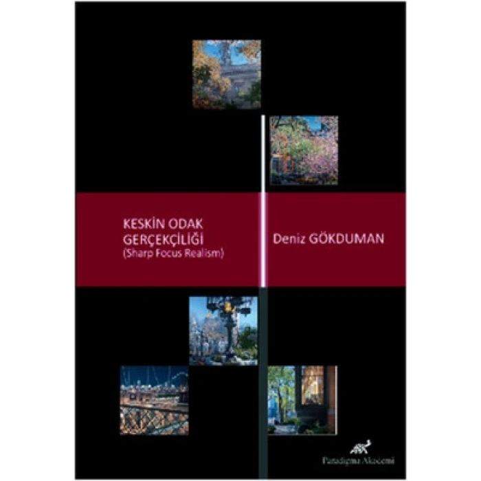 Keskin Odak Gerçekliği (Sharp Focus Realism)
