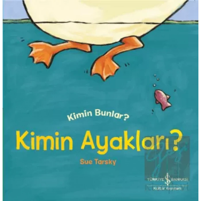 Kimin Ayaklari ? Kimin Bunlar