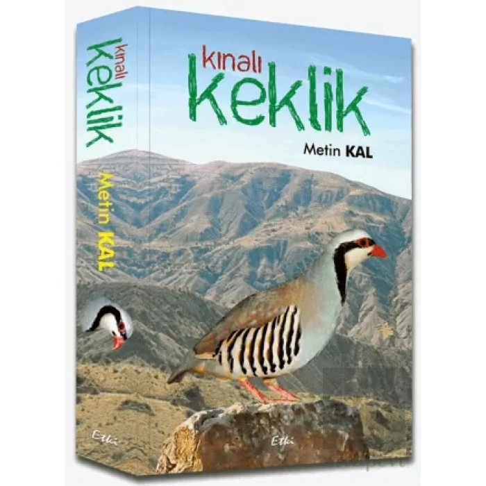 Kınalı Keklik