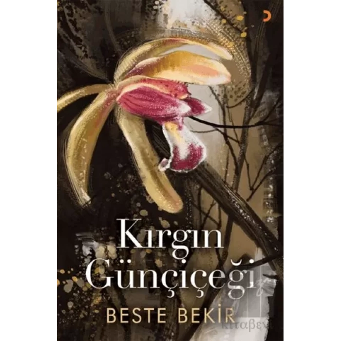 Kırgın Günçiçeği