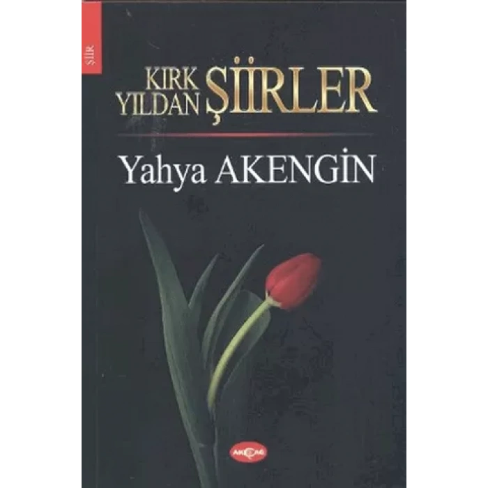 Kırk Yıldan Şiirler