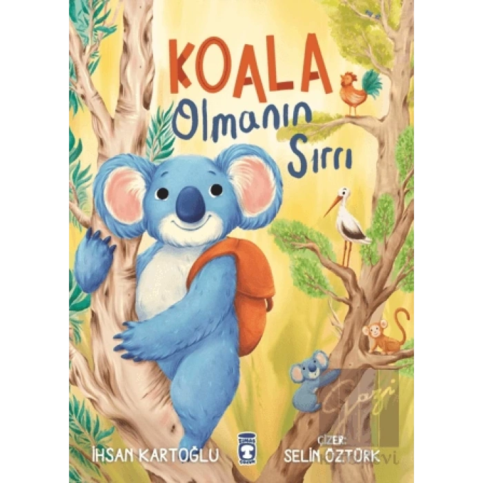 Koala Olmanın Sırrı