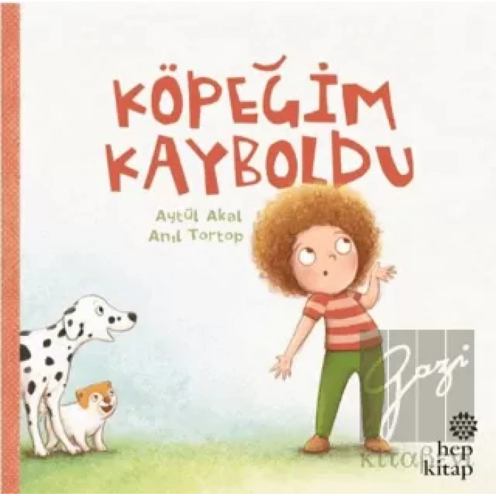 Köpeğim Kayboldu
