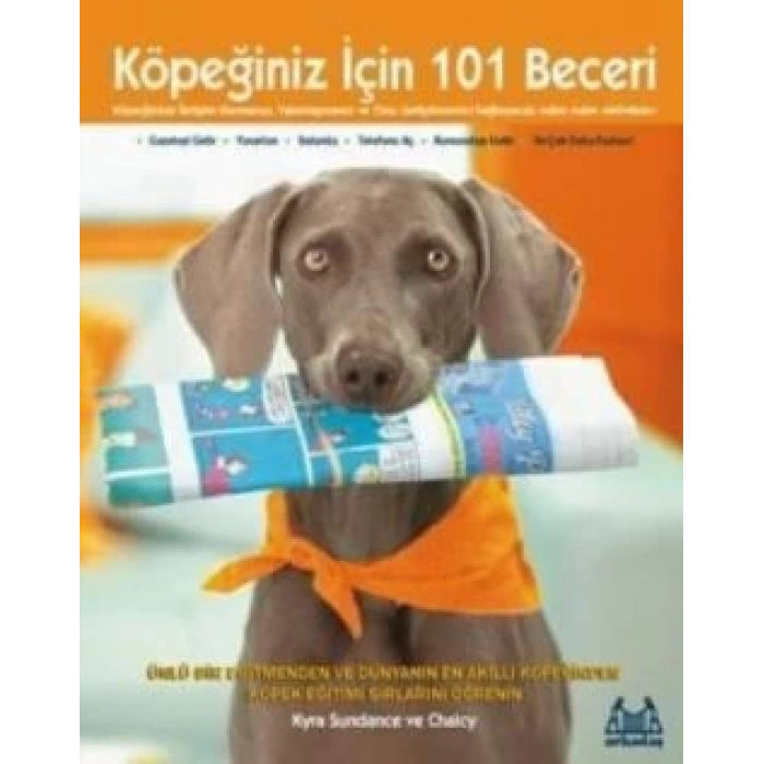 Köpeğiniz İçin 101 Beceri