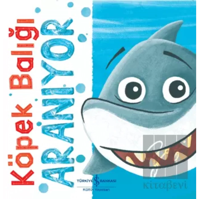 Köpek Balığı Aranıyor