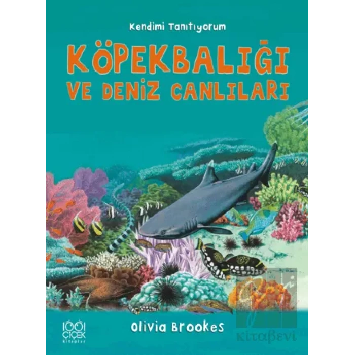 Köpek Balığı ve Deniz Canlılarına Soralım