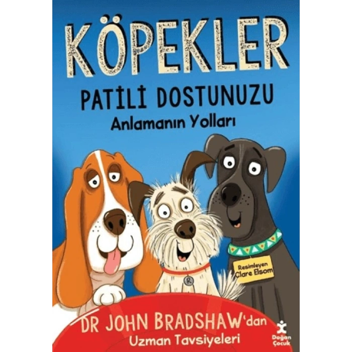 Köpekler - Patili Dostunuzu Anlamanın Yolları