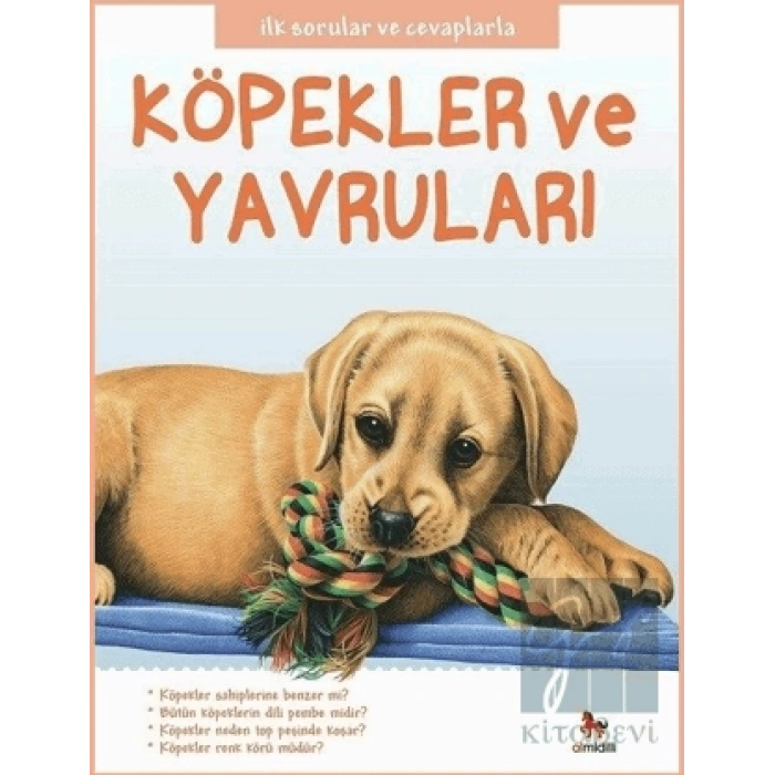 Köpekler ve Yavruları - İlk Sorular ve Cevaplarla