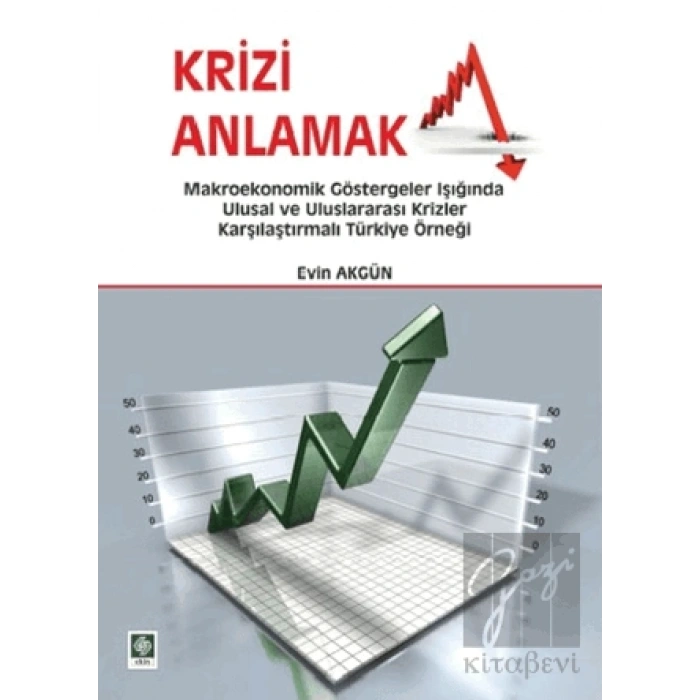 Krizi Anlamak