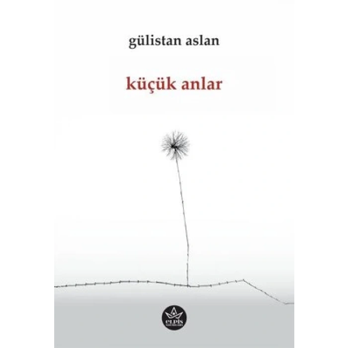 Küçük Anlar