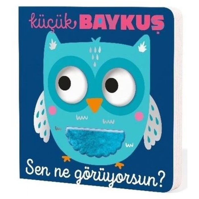 Küçük Baykuş Sen Ne Görüyorsun? (Ciltli)