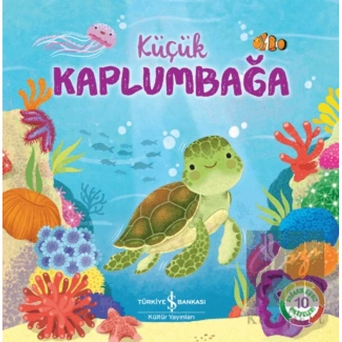 Küçük Kaplumbağa