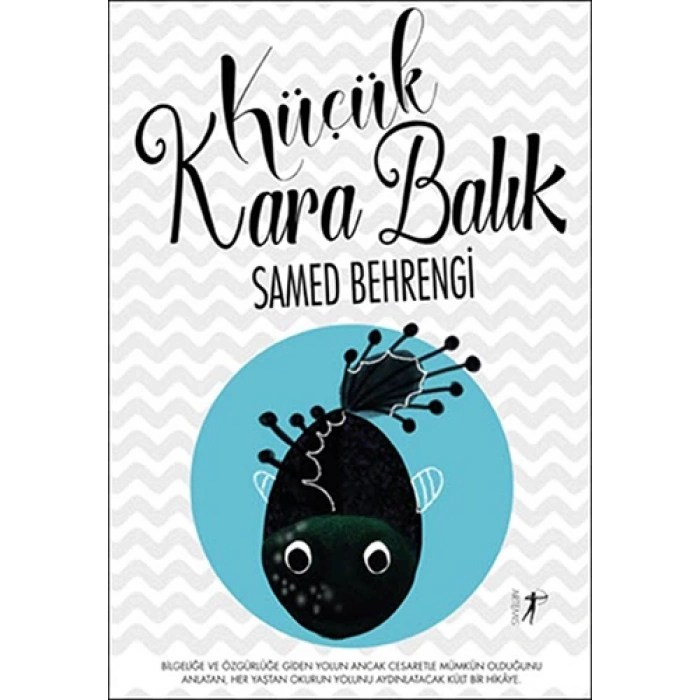 Küçük Kara Balık (Büyük Boy)