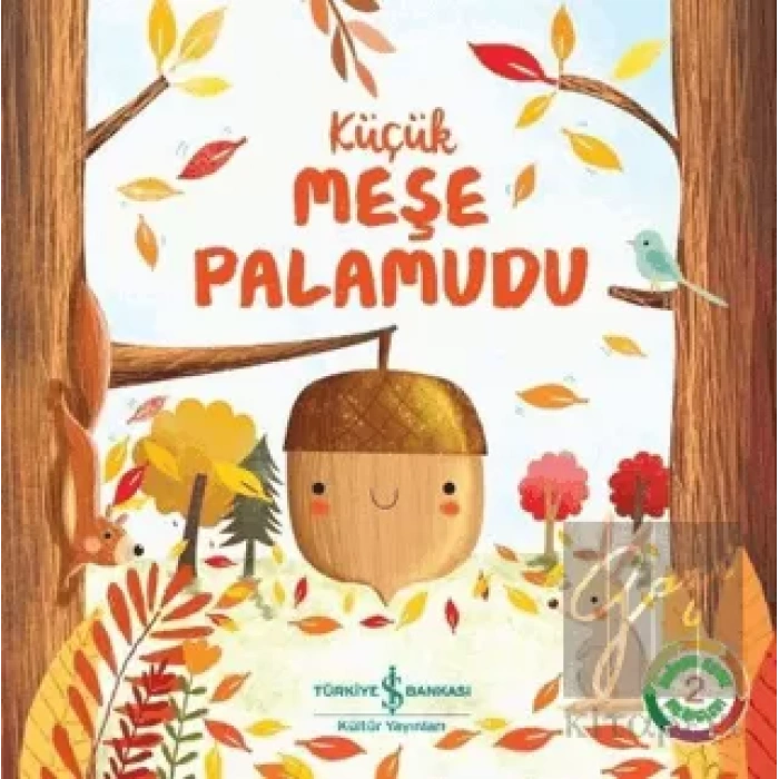 Küçük Meşe Palamudu