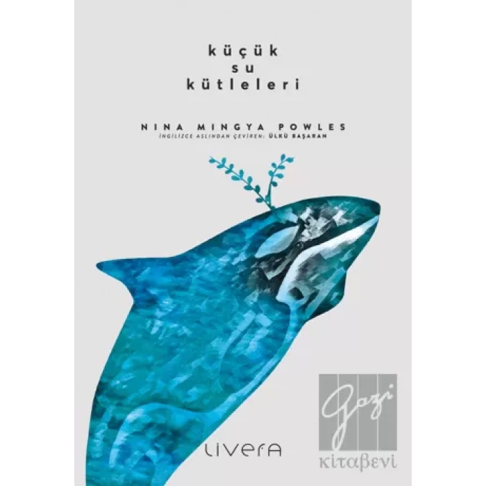 Küçük Su Kütleleri