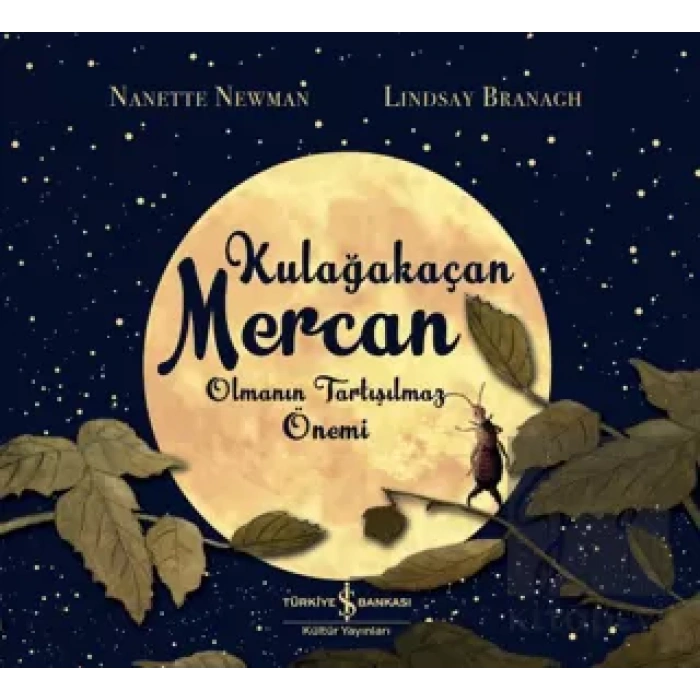 Kulağakaçan Mercan Olmanın Tartışılmaz Önemi