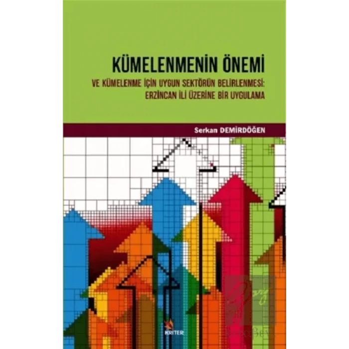 Kümelenmenin Önemi ve Kümelenme İçin Uygun Sektörün Belirlenmesi: Erzincan İli Üzerine Bir Uygulama