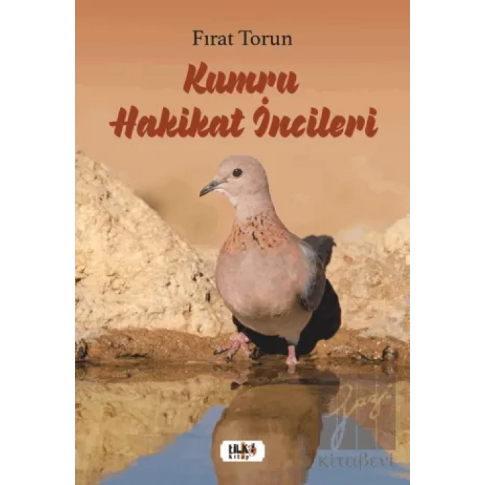 Kumru Hakikat İncileri