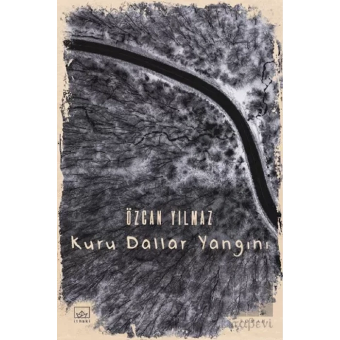 Kuru Dallar Yangını