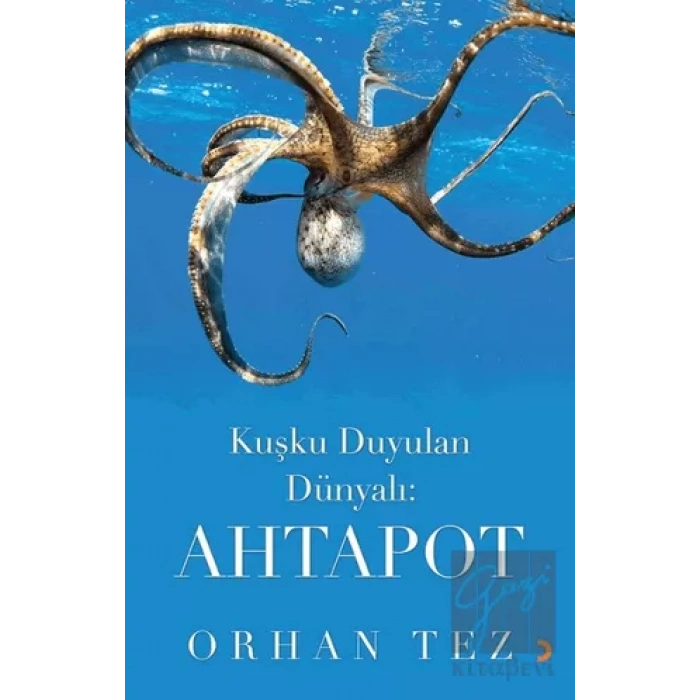 Kuşku Duyulan Dünyalı: Ahtapot