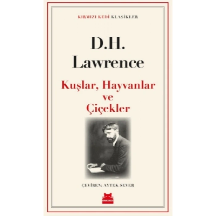 Kuşlar, Hayvanlar, Çiçekler