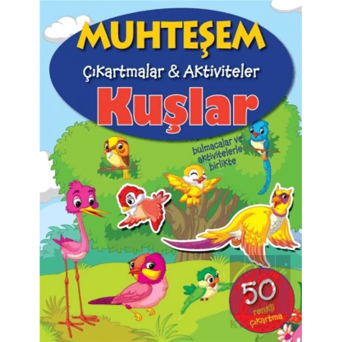 Muhteşem Çıkartmalar Aktiviteler Kuşlar