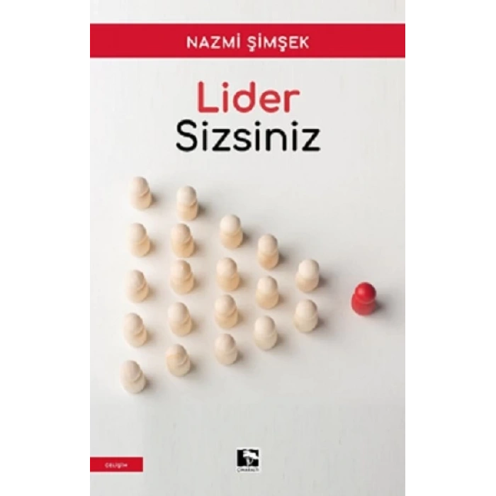 Lider Sizsiniz