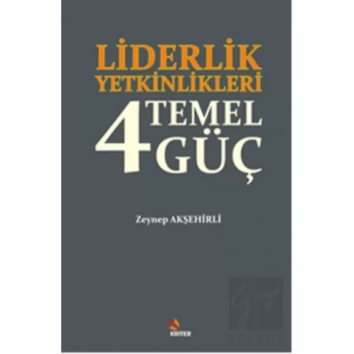 Liderlik Yetkinlikleri: 4 Temel Güç