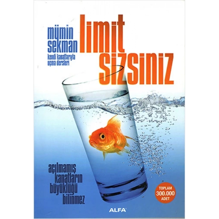 Limit Sizsiniz