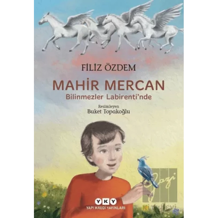 Mahir Mercan - Bilinmezler Labirentinde