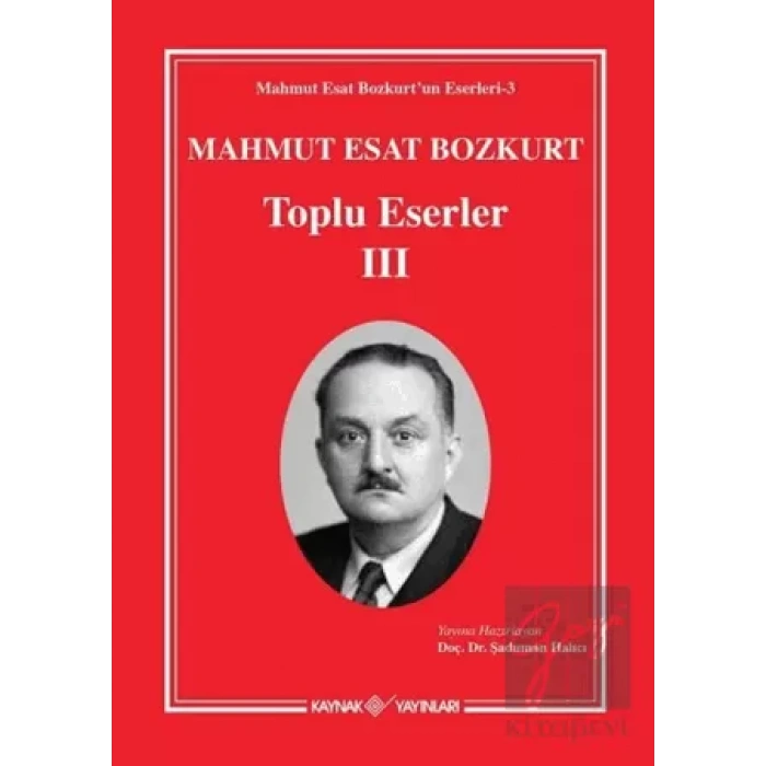 Mahmut Esat Bozkurt Toplu Eserler 3