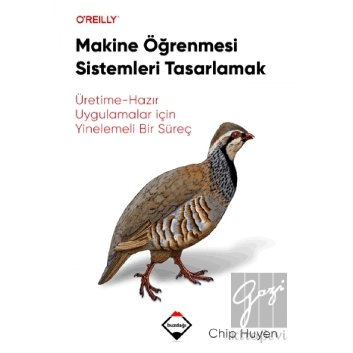 Makine Öğrenmesi Sistemleri Tasarlamak