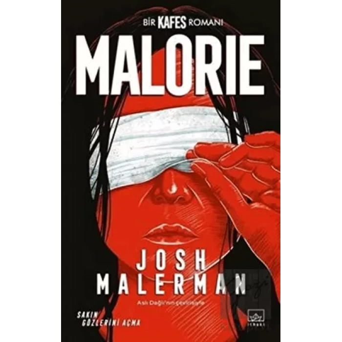 Malorie: Bir Kafes Romanı