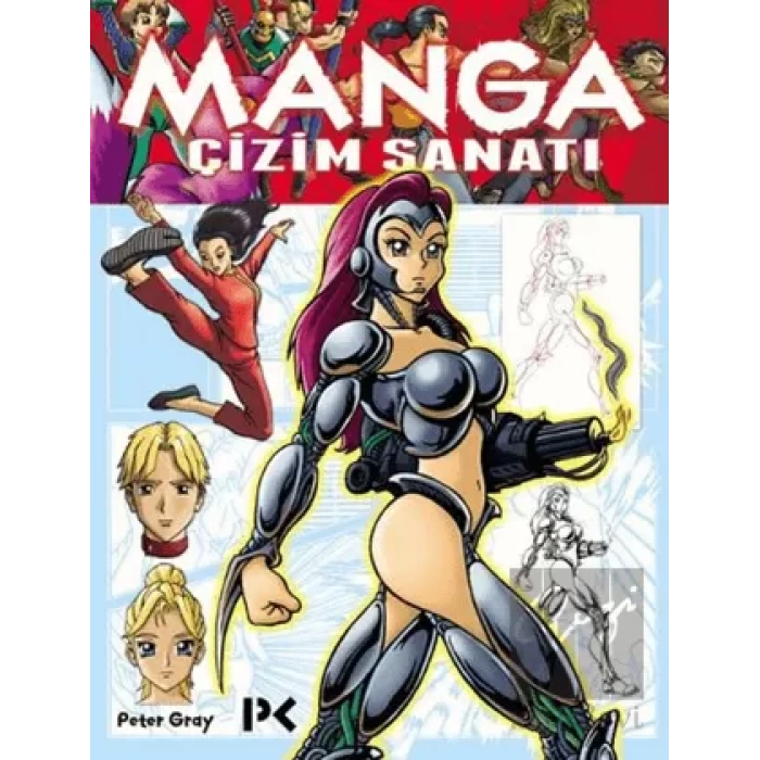 Manga Çizim Sanatı