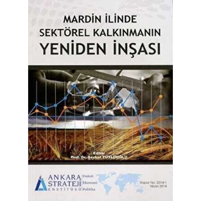 Mardin İlinde Sektörel Kalkınmanın Yeniden İnşası