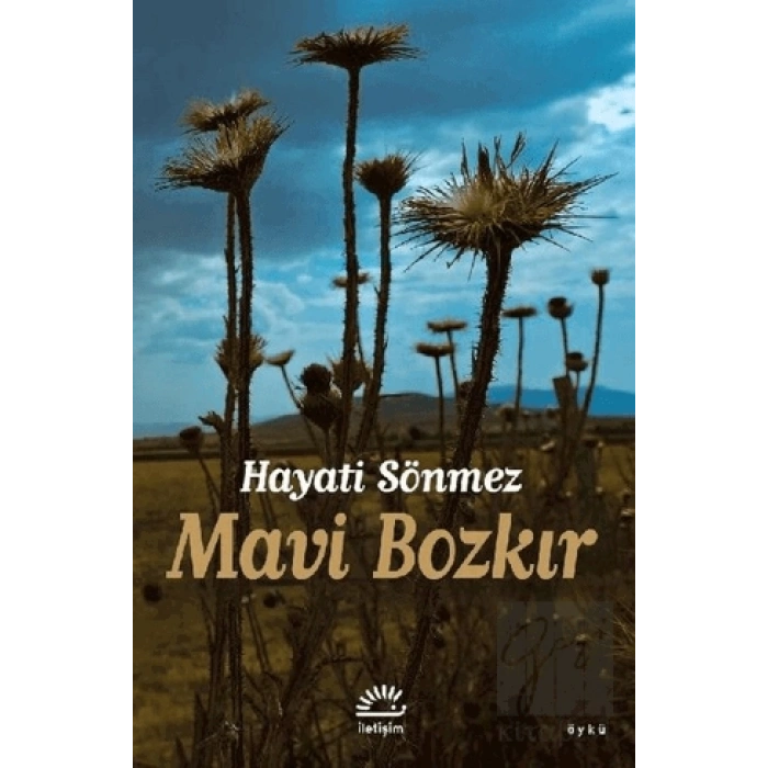 Mavi Bozkır