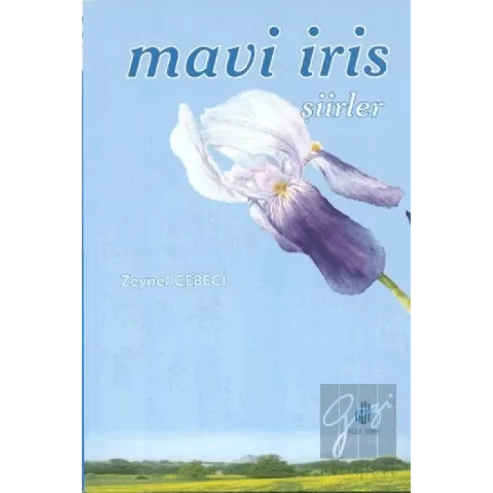 Mavi İris