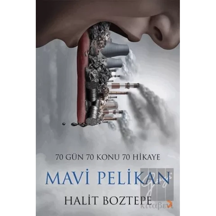 Mavi Pelikan