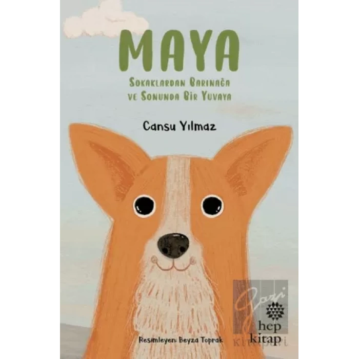 Maya - Sokaklardan Barınağa ve Sonunda Bir Yuvaya