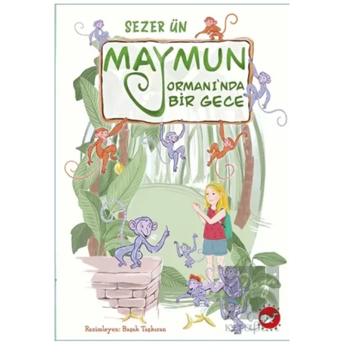 Maymun Ormanı’nda Bir Gece